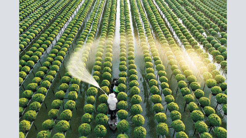 أوليفييه أبيسيلا - فرنسا