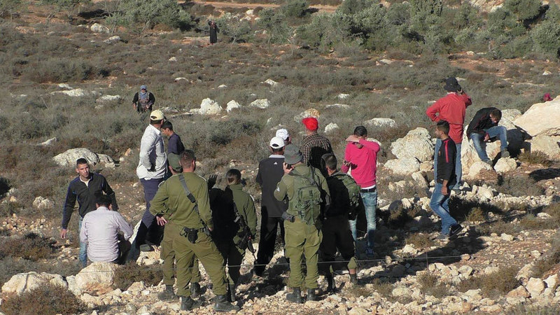 المزارعون يتحدون الأوامر فيواجهون المستوطنين.  الإمارات اليوم