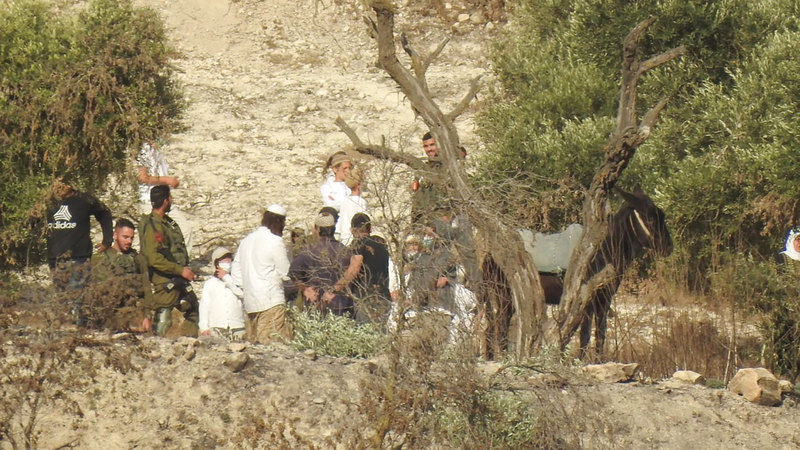 تكثيف اقتحام المستوطنين الأراضي في موسم الزيتون. الإمارات اليوم