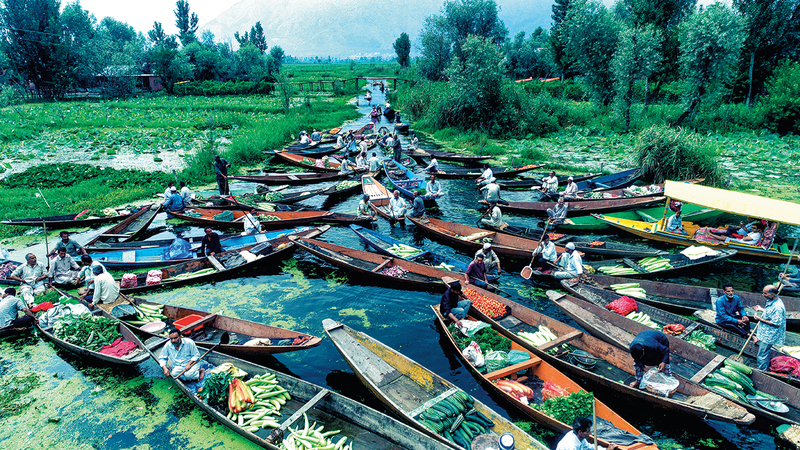 حمد الغنبوصي - سلطنة عُمان