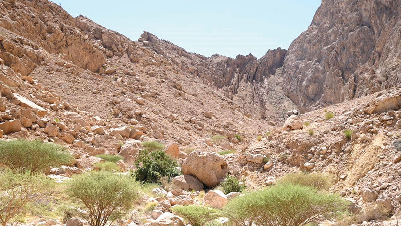 محمية حفيت – 26 سبتمبر 2020.(الأرشيف الوطني)