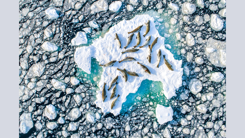 فلوريان ليدوكس - فرنسا