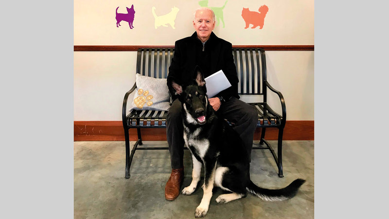 بايدن مع كلبه «ميجور».  من المصدر