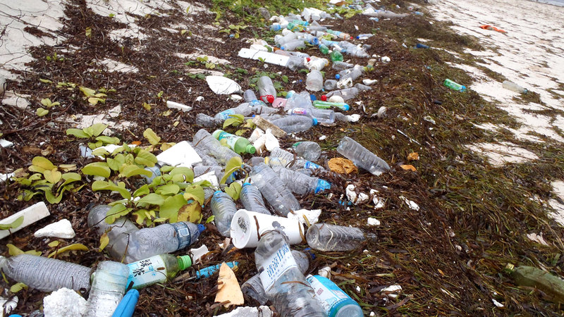 كل المخلفات تجد طريقها إلى مياه البحور والمحيطات.    إي.بي.إيه