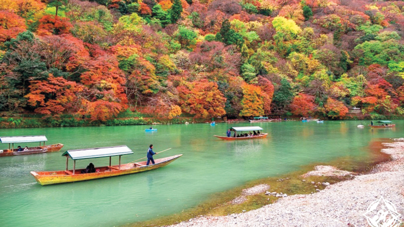 تضم البلدة المنعزلة أفضل أنواع الشاي الأخضر في اليابان بكل أشكاله.    من المصدر