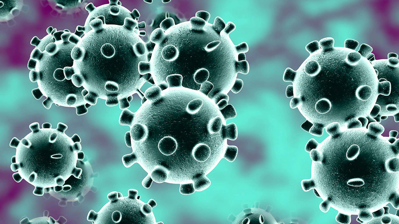 كانبيرا أيدت دعوات من جانب الولايات المتحدة لإجراء تحقيق في أصول جائحة فيروس «كورونا».   أرشيفية