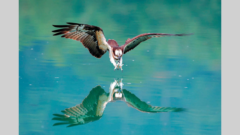 تشين كوانغ تشن - تايوان