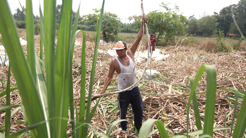 أحد العمال في قرية تشيتشيغالبا. غيتي