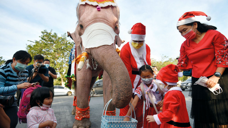 فيلة تقدّم كمامات إلى الطلبة في سلة.   رويترز