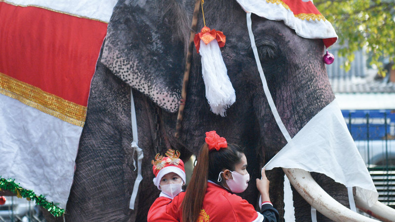 طالبان يقفان بجانب أحد الفيلة.   رويترز