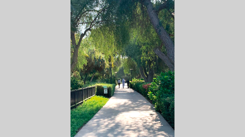 الحديقة أطلقت «البطاقة» مع بداية العام الجديد. من المصدر