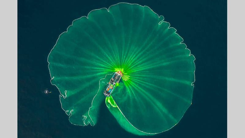 نغوين تيان ترين - فيتنام