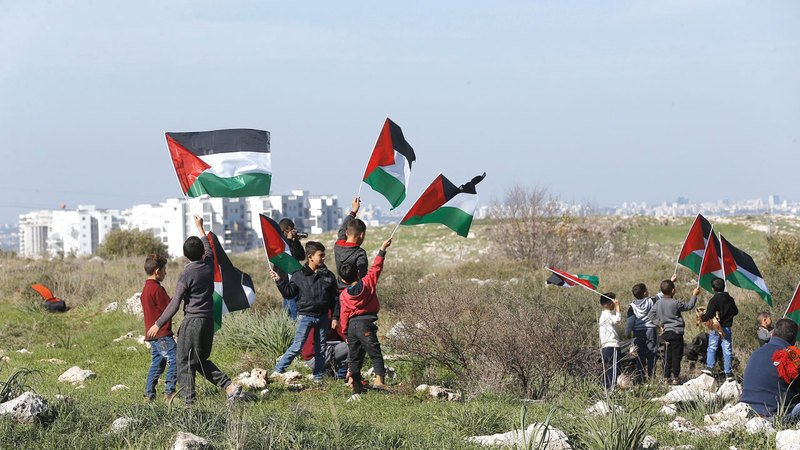 تجريف الأراضي وقطع أشجار الزيتون أصبحا من الممارسات المعتادة في الأراضي المحتلة.  إي.بي.إيه