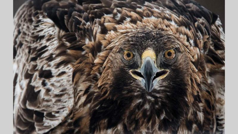 كاثرينا جوليا ماير - ألمانيا.