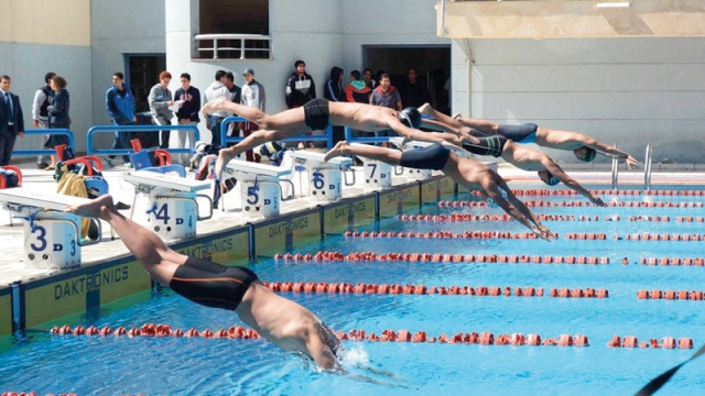 صورة اتحاد السباحة يعتمد أجندة المشاركات المحلية والدولية – رياضة – محلية