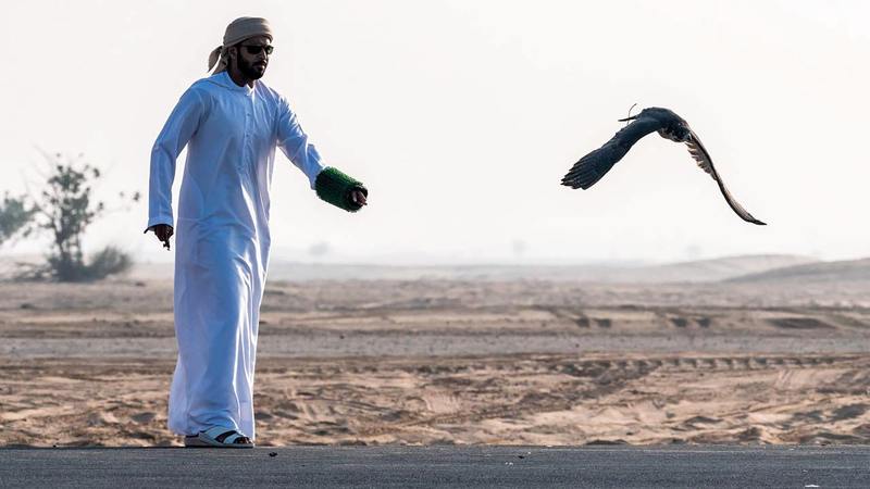 البطولة تسعى إلى زيادة عدد الصقارين المشاركين.   من المصدر