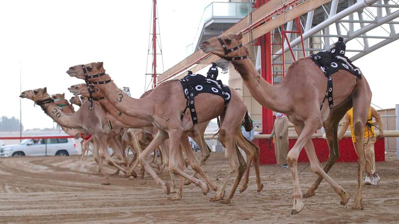 من منافسات أمس. من المصدر