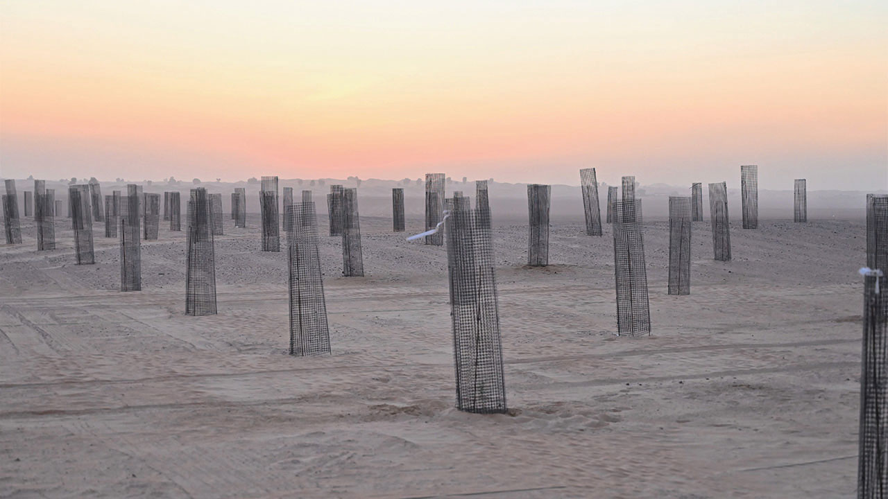 الشغف بالزراعة وتقديم عمل متفرد يجسّد جهود الإمارات في الحفاظ على الطبيعة كان دافعاً لعلي الفلاسي للقيام بهذه المبادرة الاستثنائية.■تصوير: يوسف الهرمودي