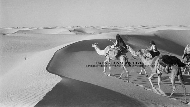 صورة التقطت أثناء رحلة ويلفريد ثيسجر من العين إلى واحة ليوا ورمال الظفرة وبينونة (نوفمبر وديسمبر 1948). ■ «الأرشيف الوطني»