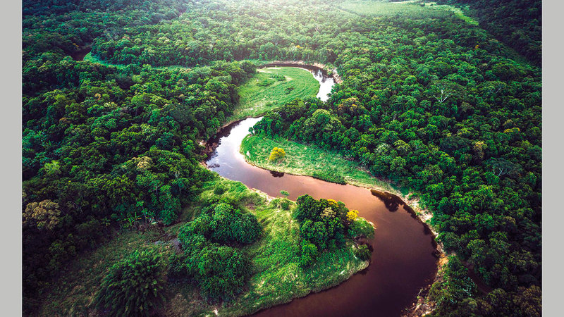الحفاظ على الأمازون أمر بالغ الأهمية للحفاظ على حرارة الأرض.  أرشيفية