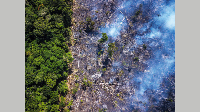 «صندوق الأمازون» هو آلية لجمع تبرعات لمراقبة البيئة وإدارة الغابات بالمنطقة. 		 أرشيفية