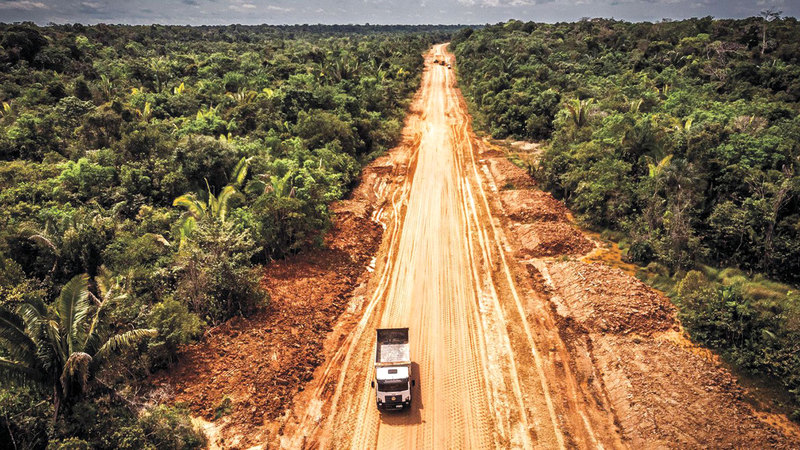 العلماء يواصلون بذل الجهود لإنقاذ الأمازون.  أرشيفية