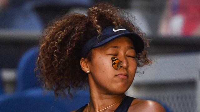 صورة بالفيديو: كيف تعاملت لاعبة تنس مع فراشة عطّلت عليها إرسال الكرة؟ – رياضة – عربية ودولية