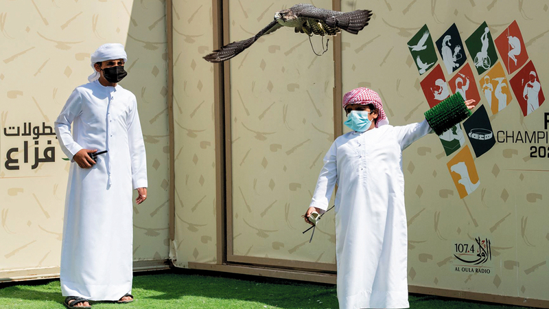 البطولة ساعدت الصقارين الناشئين على إظهار مواهبهم ومهاراتهم.    من المصدر