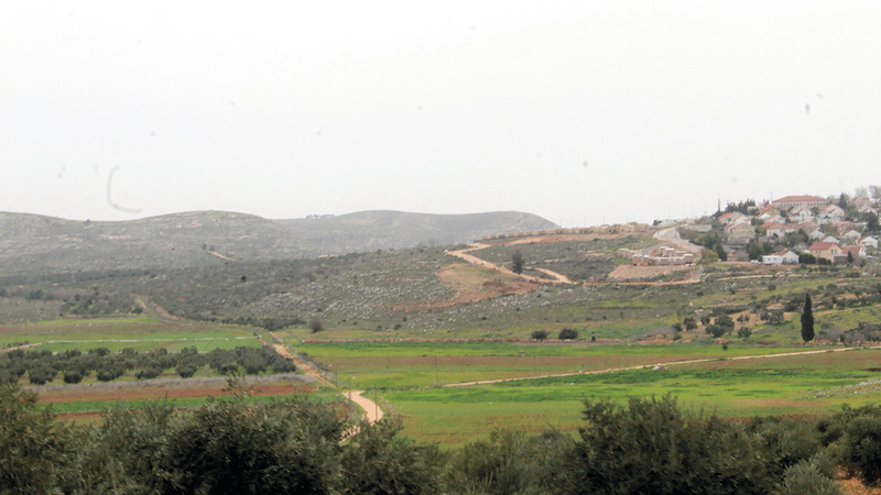 340 دونماً نجح الفلسطينيون في استرجاعها بقرية قريوت.  الإمارات اليوم