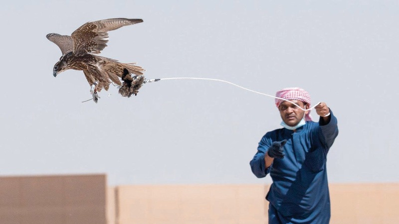 رياضة الصيد بالصقور مرتبطة بتراث منطقة الخليج بصورة عامة.  من المصدر