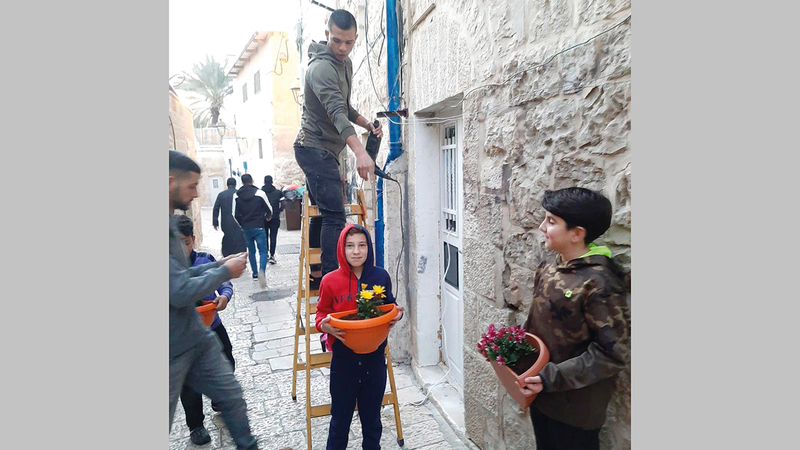 سكان الأحياء المقدسية تبرعوا بالزهور وقواريرها.  الإمارات اليوم
