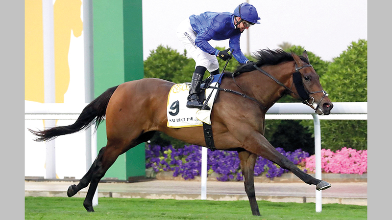 جواد غودولفين &laquo;غيفتس أوف غولد&raquo; توج بطلاً لشوط &laquo;البحر الأحمر&raquo;.   من المصدر