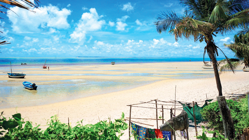 «بازاروتو» موطن لـ 180 نوعاً من الطيور و45 من الزواحف و16 نوعاً من الثدييات البرية.  أرشيفية