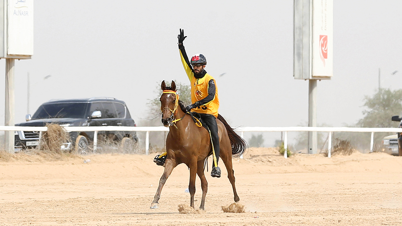 الفارس أحمد الشحي لدى وصوله خط النهاية.  تصوير: أسامة أبوغانم