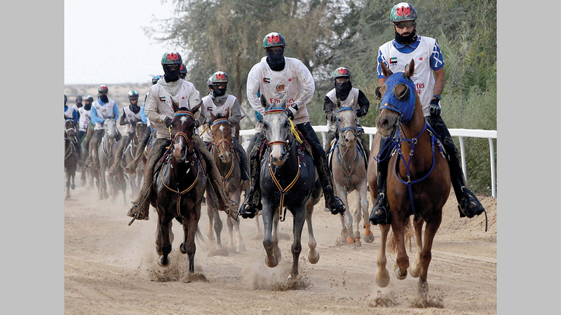 139 فارساً وفارسة شاركوا في السباق.   تصوير: أسامة أبوغانم