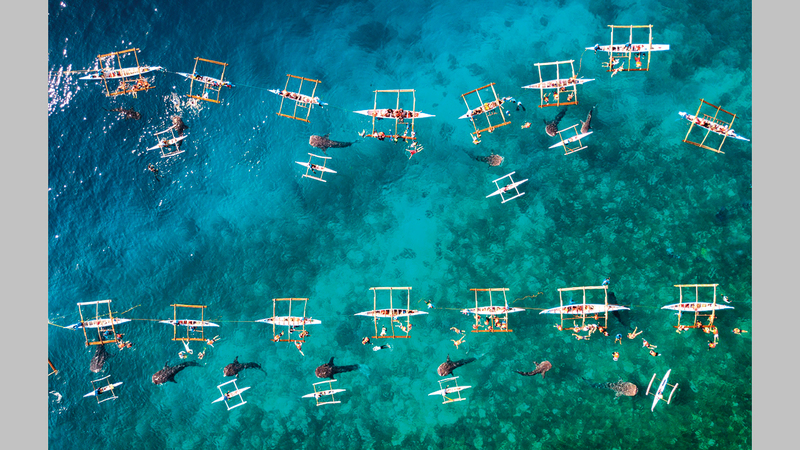 إروين ليم - الفلبين.