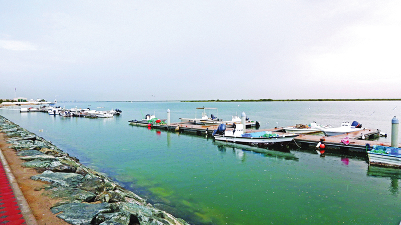 فرض غرامات وحجز قوارب الصيد لغير الملتزمين. من المصدر