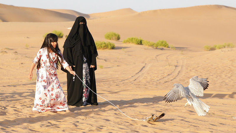 «المدرسة» أوّل منصّة رائدة مُتخصّصة على مستوى العالم في تعليم فن الصقارة العربية.   من المصدر