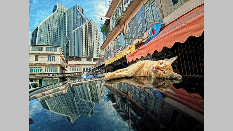 وينيوات ترايتونتانارات - تايلاند.