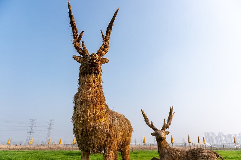 الصور نقلاً عن شبكة الصين الدولية CGTN