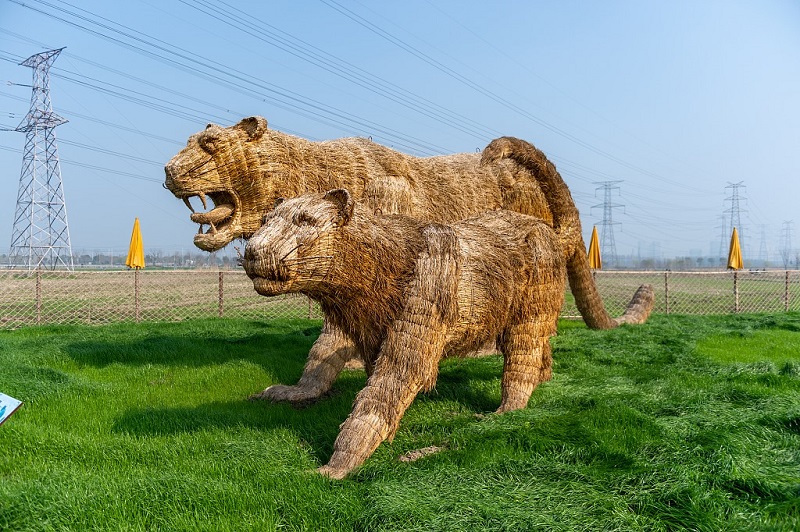 جميع التماثيل مصنوعة من القش، ما حول حقل الأرز إلى منظر طبيعي للزوار وشملت التماثيل تمثال فيل ودب وطاووس وتمساح.