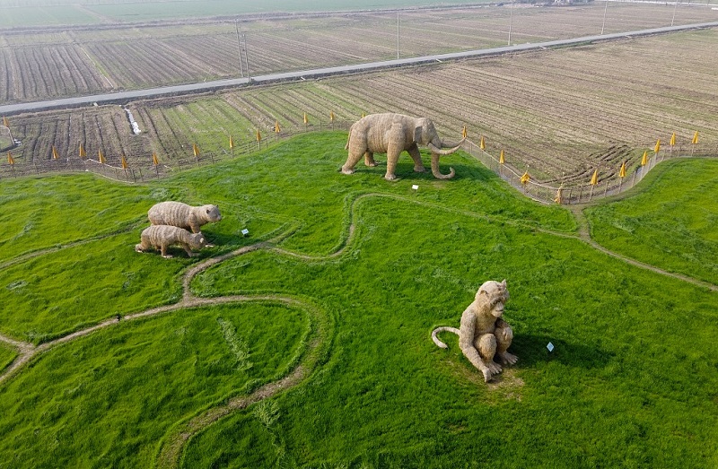 ونشرت شبكة تليفزيون الصين الدولية صوراً لحيوانات وطيور مصنوعة من قشور الأرز ، في احدى حقول الأرز بمدينة كونشان في مقاطعة جيانغسو شرقي الصين.