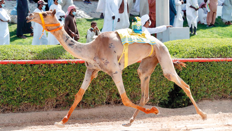من منافسات أمس.  من المصدر