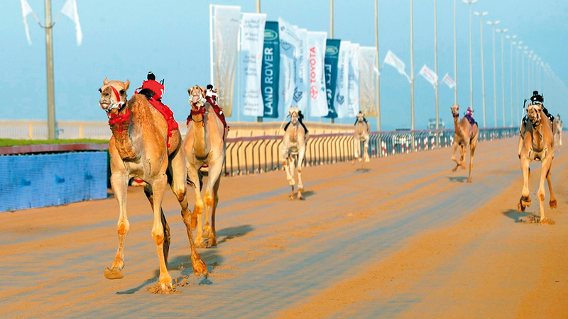 جانب من منافسات أمس.   من المصدر