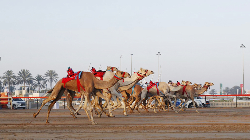 من التحديات الصباحية.  من المصدر