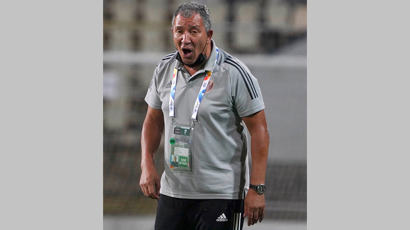 تين كات. من المصدر