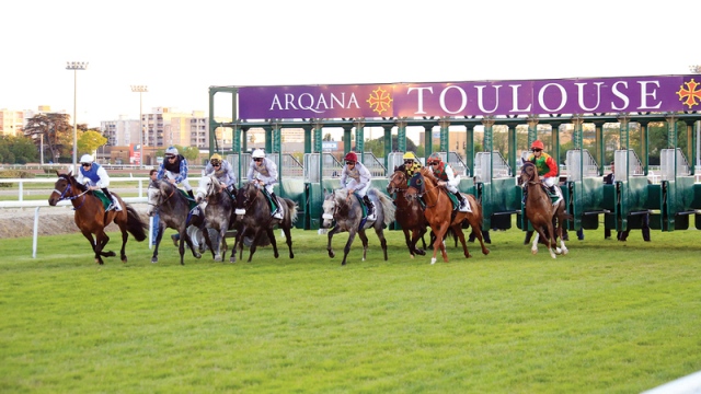 صورة 9 خيول في كأس مهرجان منصور بن زايد بفرنسا – رياضة – محلية