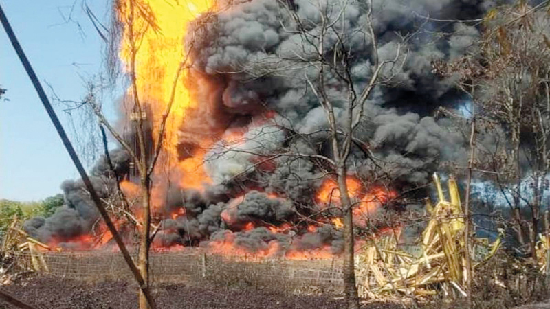 حرائق الغابات تسهم في زيادة الفقر المائي.  أرشيفية