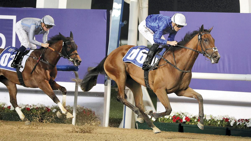 صورة خيول الإمارات تطلب لقب «دوك أف يورك سيتكس» البريطاني اليوم – رياضة – محلية