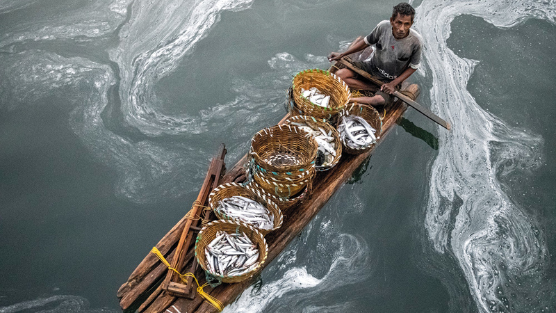 بانسي سخاديا - الهند.